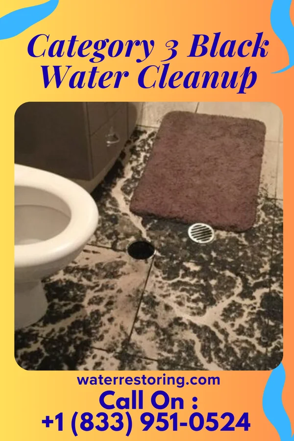 Category 3 Black Water Cleanup in Maybee, MI