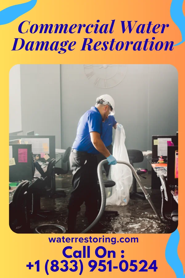 Commercial Water Damage Restoration in Maybee, MI