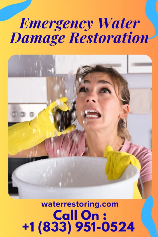 Emergency Water Damage Restoration in Maybee, MI