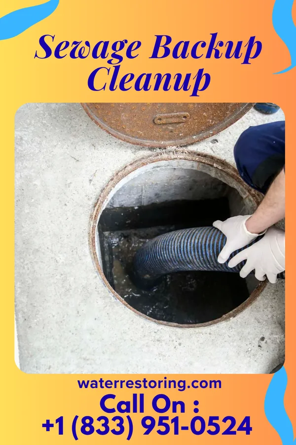 Sewage Backup Cleanup in Maybee, MI